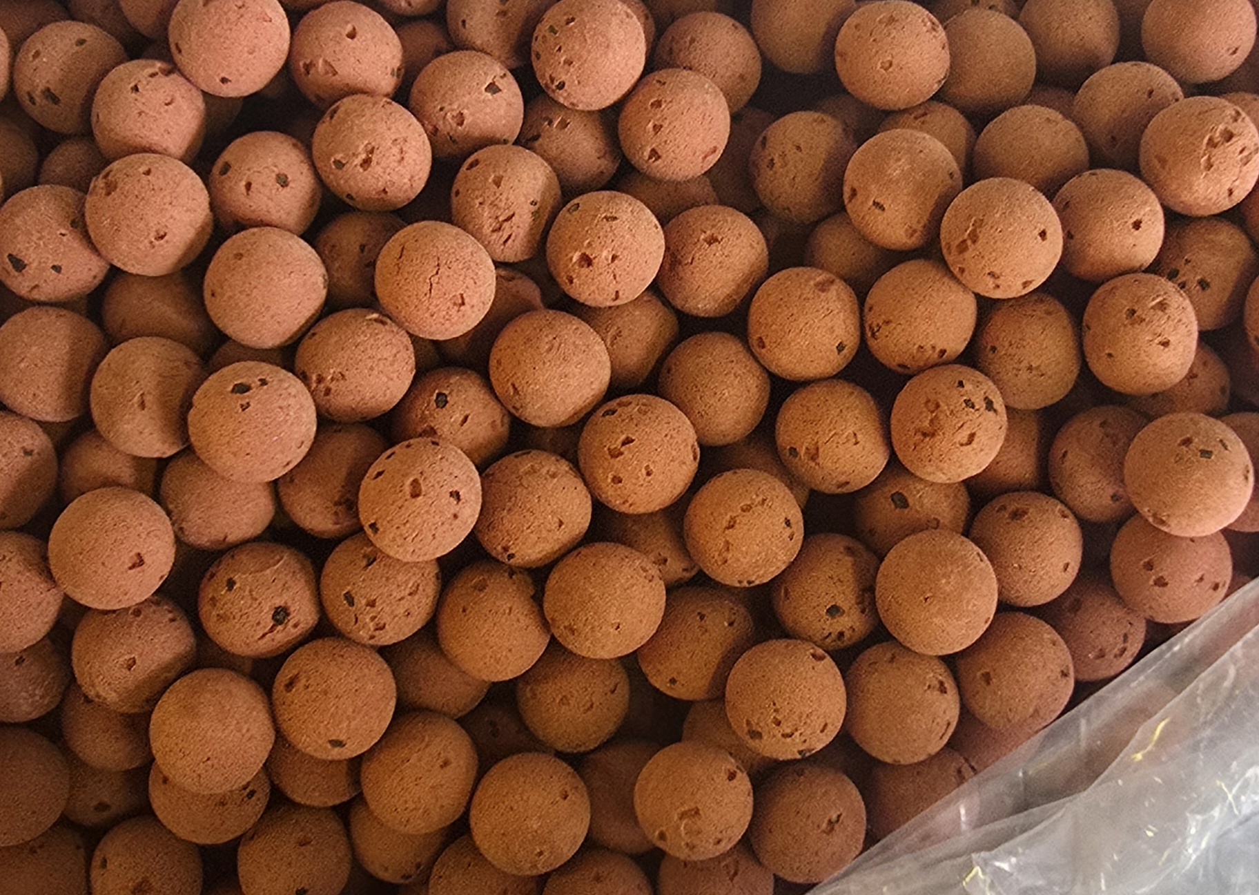 RED SQUID 15MM SEEDED CHOD POP-UPS 1.3KG