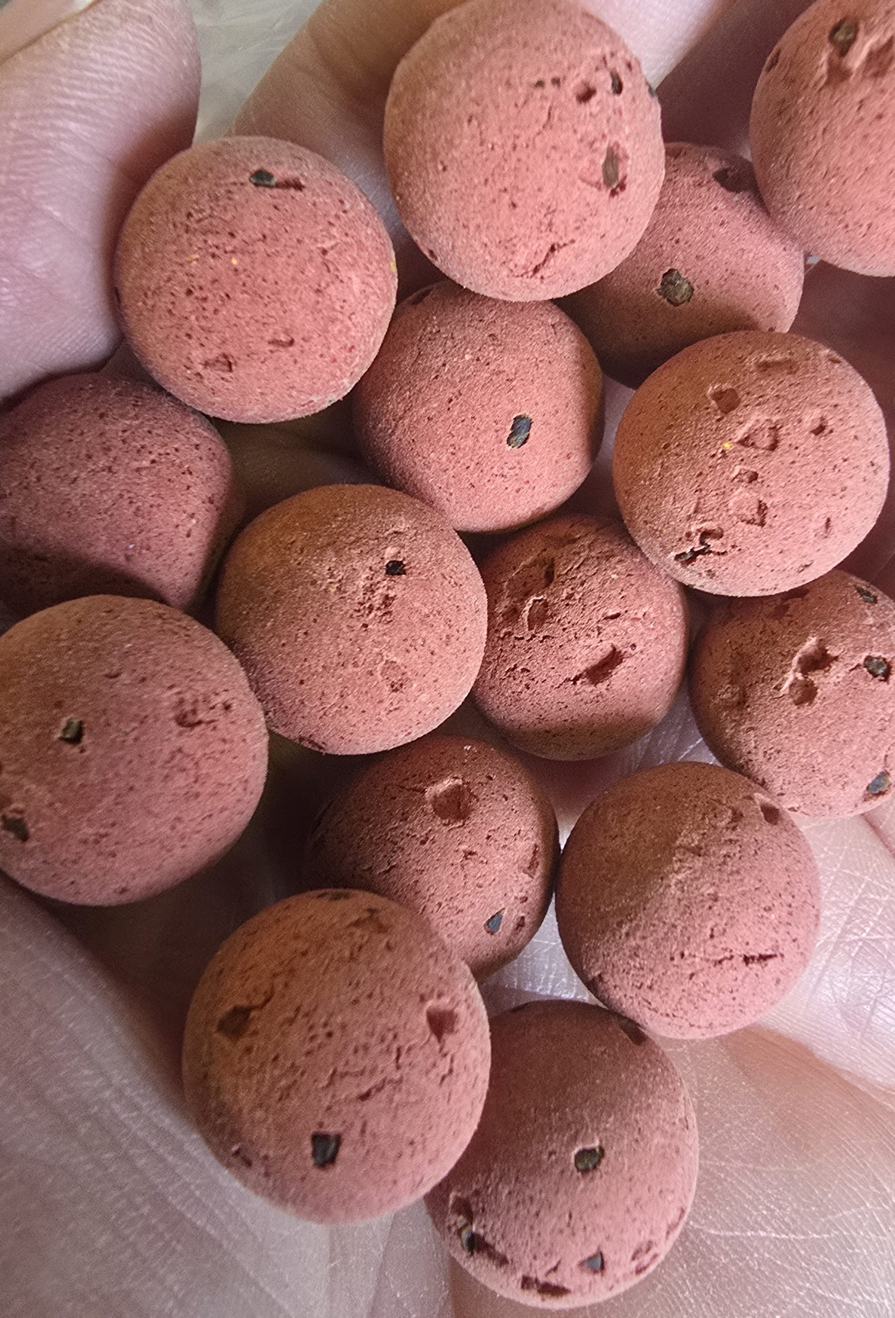 RED SQUID 15MM SEEDED CHOD POP-UPS 1.3KG - Image 2